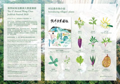 Watercolour. A column of text in English and Chinese is to our left. The right two-thirds is headed “Introducing villagers’ plants” and illustrates ten varieties including “Fish leaf”, “Bitter leaf”, “Night blooming cereus”, “Banana flower”, “Turmeric”, “Longevity spinach”, “Dragon’s tongue”, “Cat’s whiskers”, Pomelo leaf”, “Tradescantia spathacea”, and “Jackfruit Woman”.