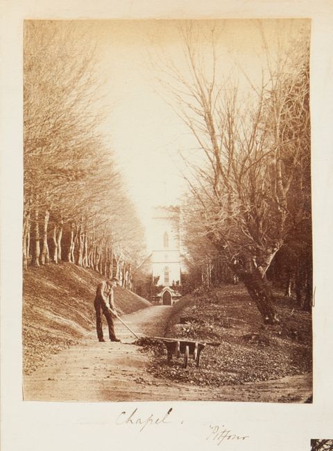 Black and white photograph. A man clears fallen leaves from a lane. Walls of trees grow to either side of the path, which leads back to a crenelated tower. The location is handwritten in pen below, “Chapel” and “Pitfour”.