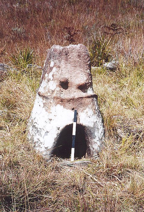 A roughly conical structure has an arched opening at the base and two holes above. The bottom half is painted white, though some is flaking off. A black and white measuring rod is propped in front of the opening. It sits in tall grass.